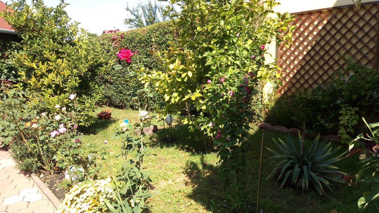 Pensiunea Magnolia Sibiu Exterior photo