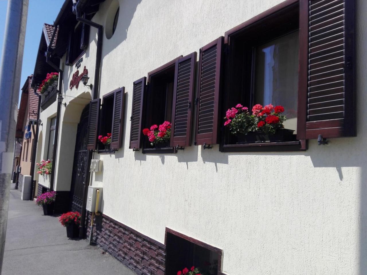 Pensiunea Magnolia Sibiu Exterior photo