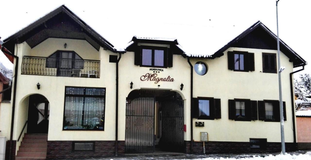 Pensiunea Magnolia Sibiu Exterior photo